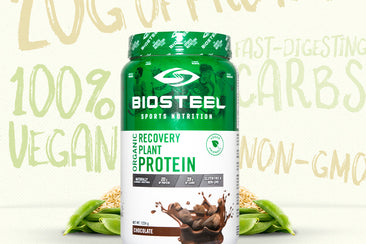 Plant-Based Protein : What Are Your Options?